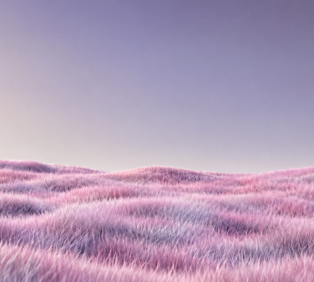 Lavender plush meadow at dusk